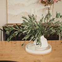 TIGES D'OLIVIER ITALIENNES