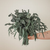 ARRANGEMENT D'EUCALYPTUS PRÉSERVÉ