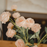 TIGES DE PETITES ROSES