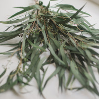 BOUQUET DE SAULE EUCALYPTUS PRÉSERVÉ