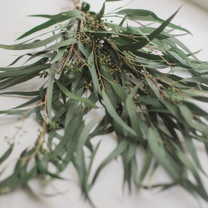 BOUQUET DE SAULE EUCALYPTUS PRÉSERVÉ