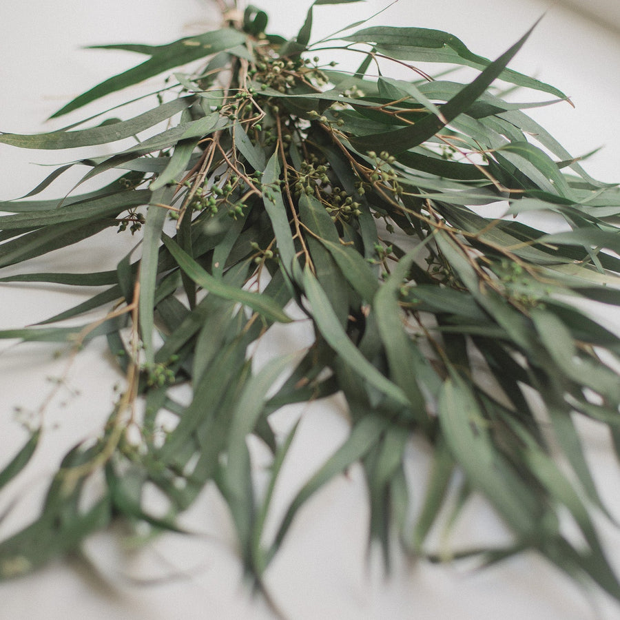 BOUQUET DE SAULE EUCALYPTUS PRÉSERVÉ