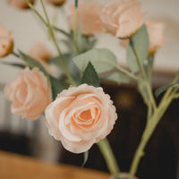 TIGES DE PETITES ROSES