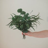 ARRANGEMENT D'EUCALYPTUS PRÉSERVÉ