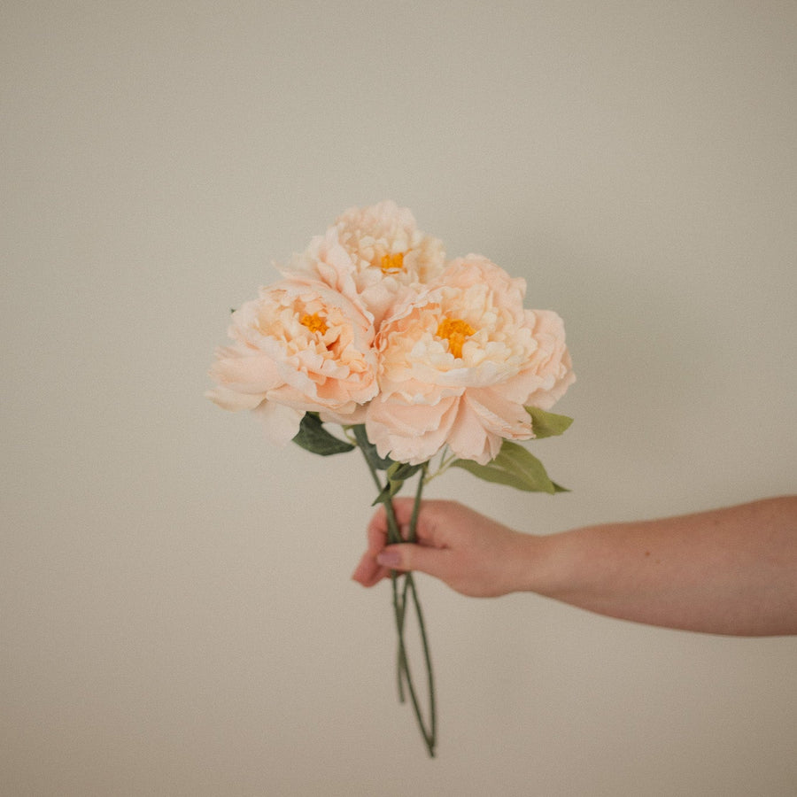 PIVOINE LONDON