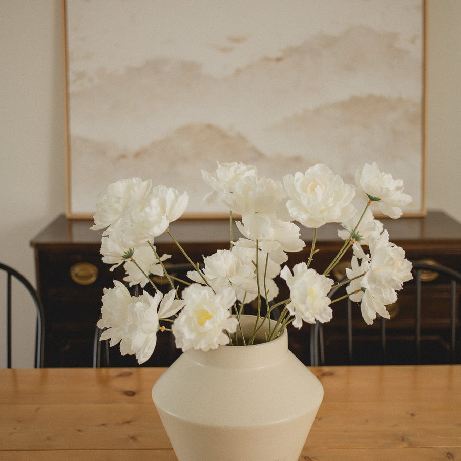 TIGE DE PIVOINE