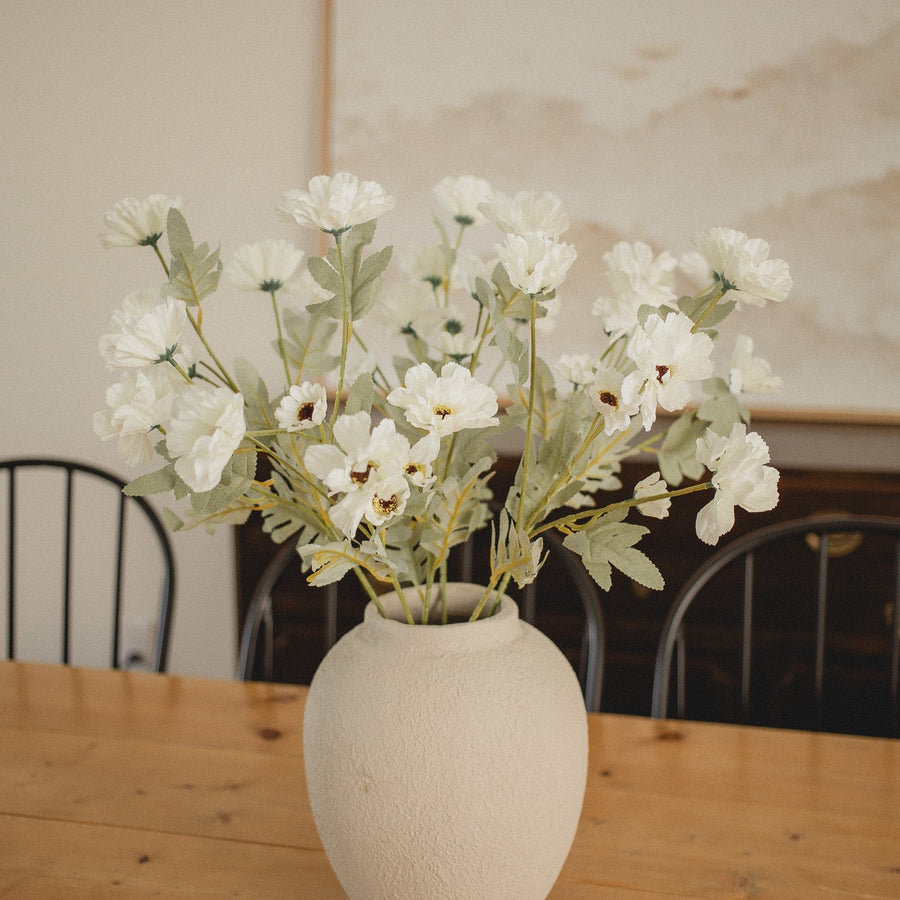 COSMOS BLANCS