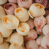BOUQUET DE PIVOINES