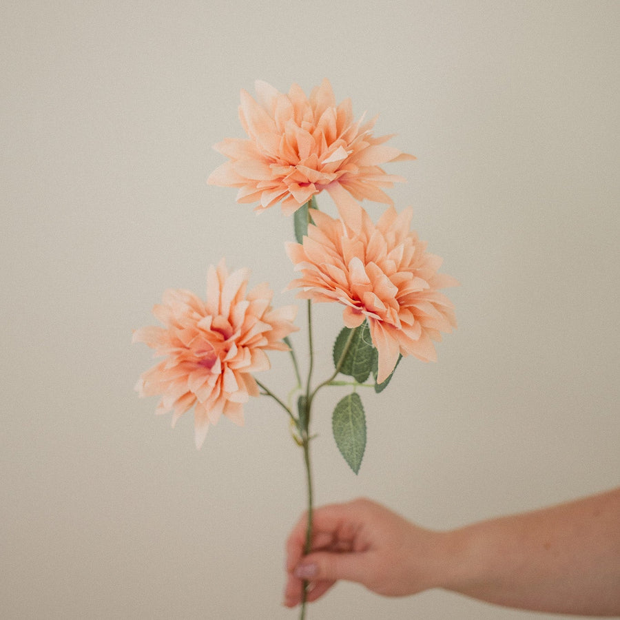 DAHLIA