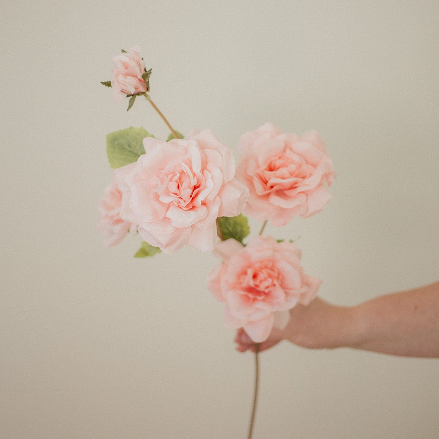 BRANCHE DE ROSE