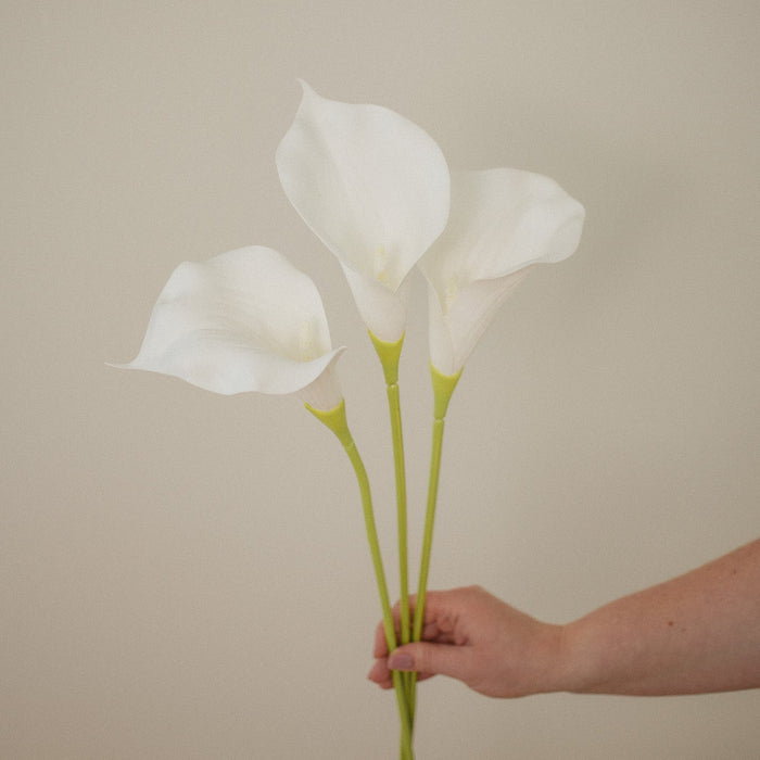 TIGE DE LYS CALLA