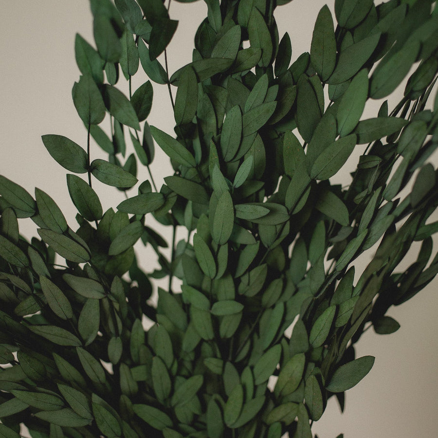 PRESERVED EUCALYPTUS BOUQUET