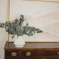 EUCALYPTUS CINERA ITALIENNE