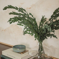 BOUQUET D'EUCALYPTUS PRÉSERVÉ