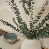 BOUQUET D'EUCALYPTUS BÉBÉ ITALIEN