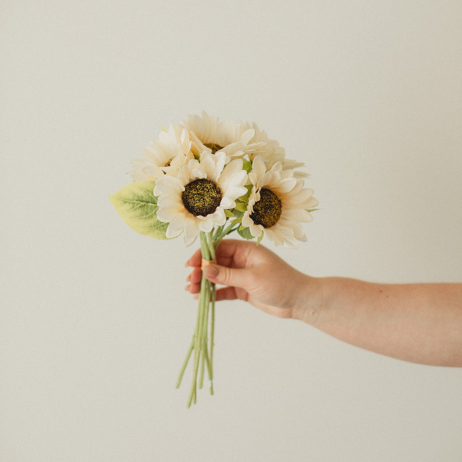 TOURNESOL CLASSIQUE