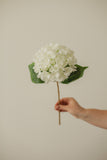 HYDRANGEA ARTIFICIEL