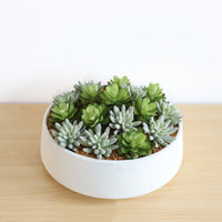 FAUX SUCCULENT SET IN WHITE LOW POT INTERIOR DECORATION