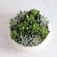 ARRANGEMENT DE SUCCULENTES ARTIFICIELLES EN POT BLANC DECOR CONTEMPORAIN EXTERIEUR