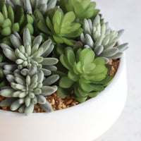 FAUX SUCCULENT SET IN WHITE LOW POT INTERIOR DECORATION