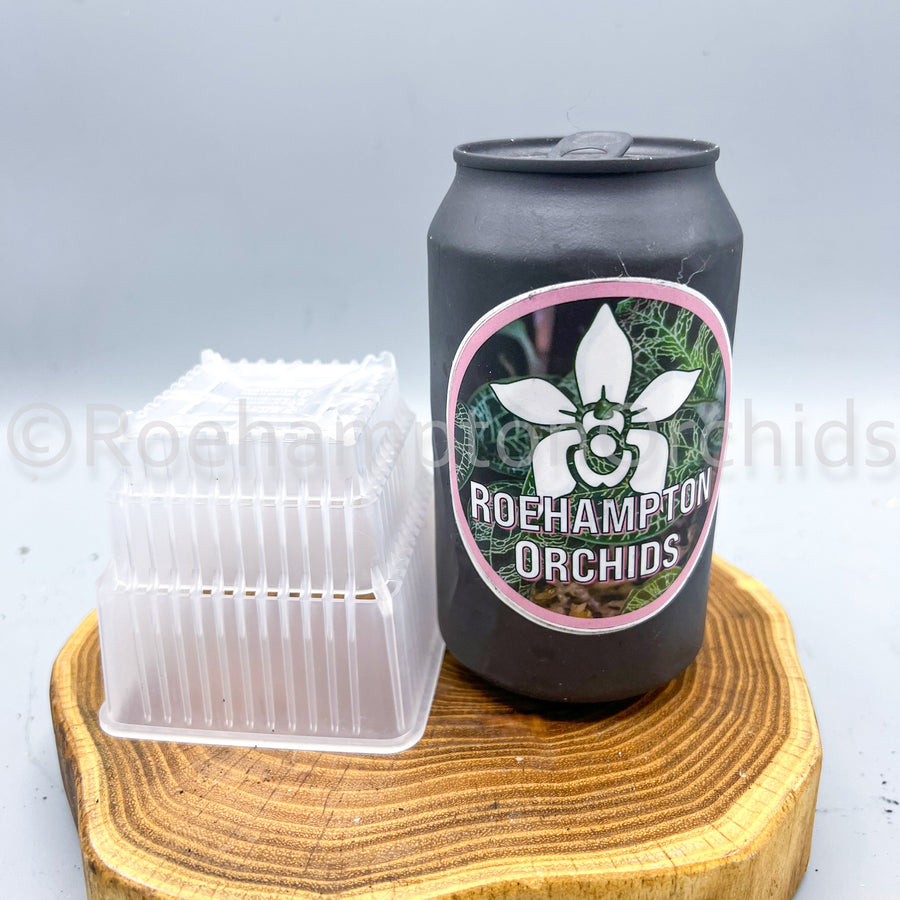 ULTRA-AERATED TRANSPARENT SQUARE POTS