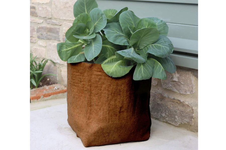 HEMP FIBRE PLANTER 20L