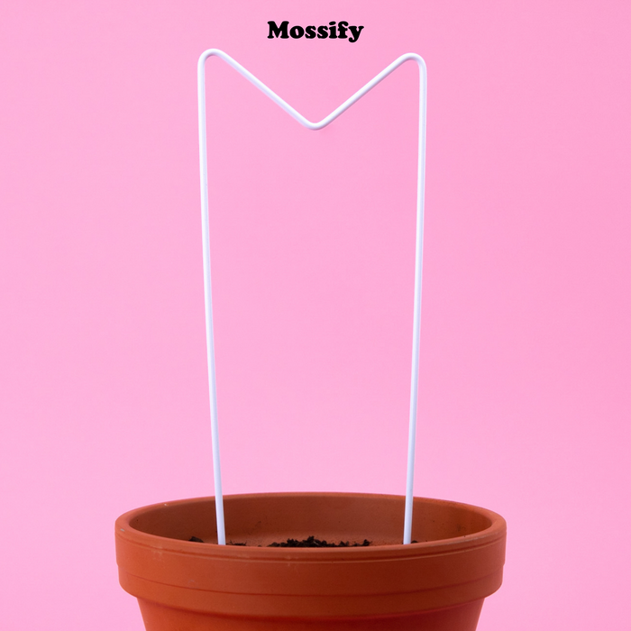 TREILLIS MÉTALLIQUE - M