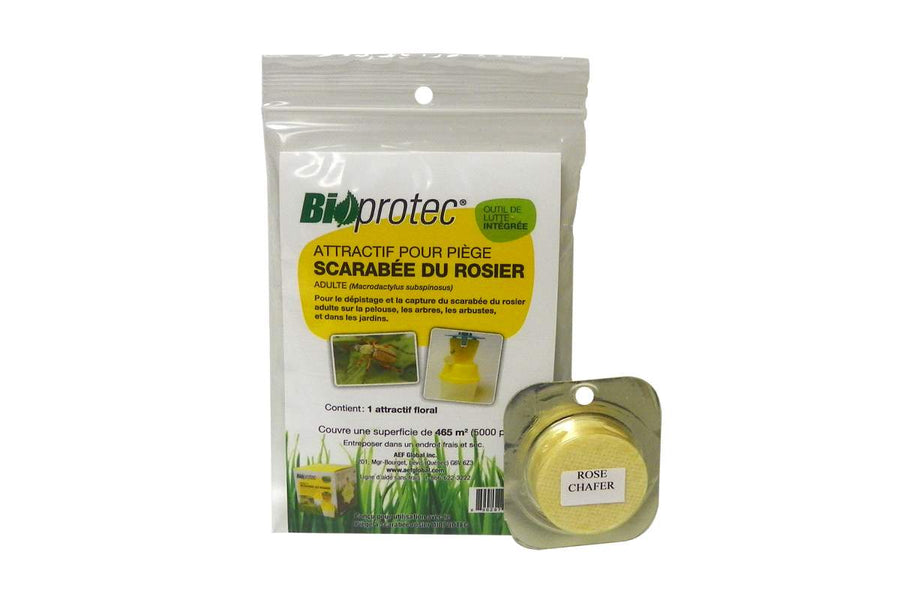 PHEROMONE - ROSE CHAFERS