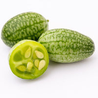 CONCOMBRE - MEXICAIN