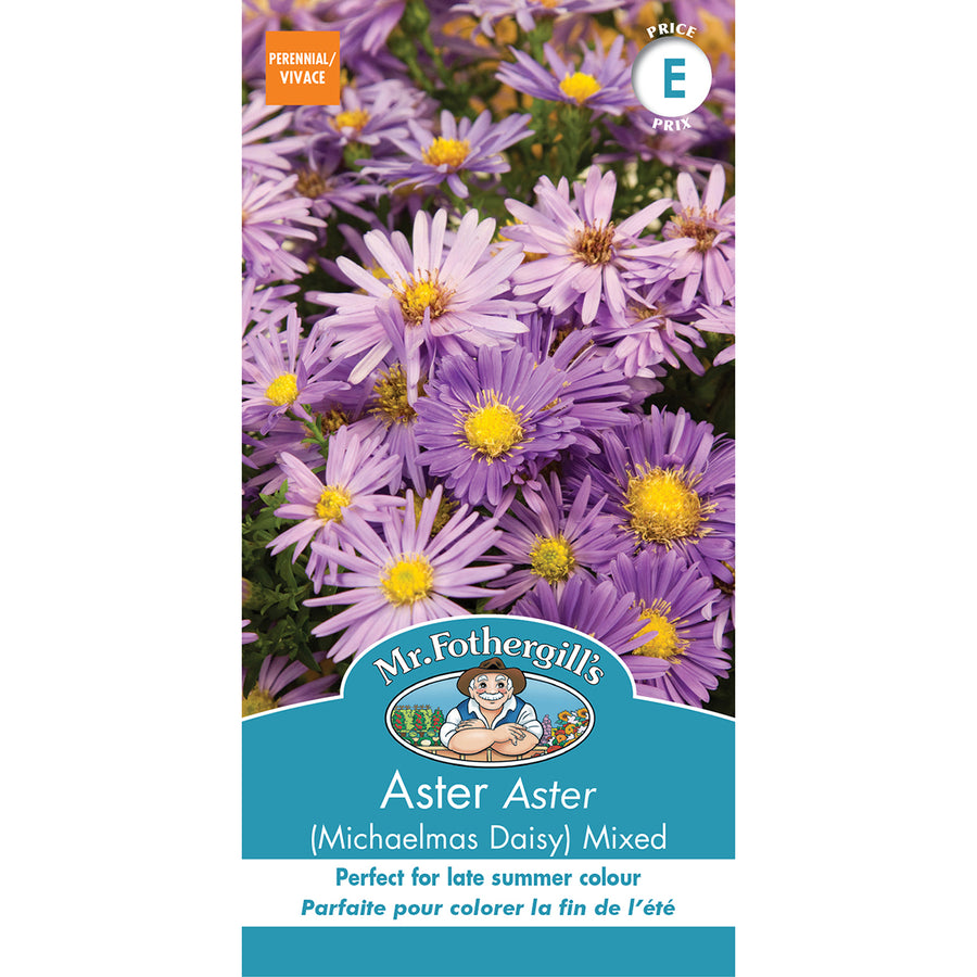 SEMENCES DE FLEURS: ASTER (MICHAELMAS DAISY) MELANGE
