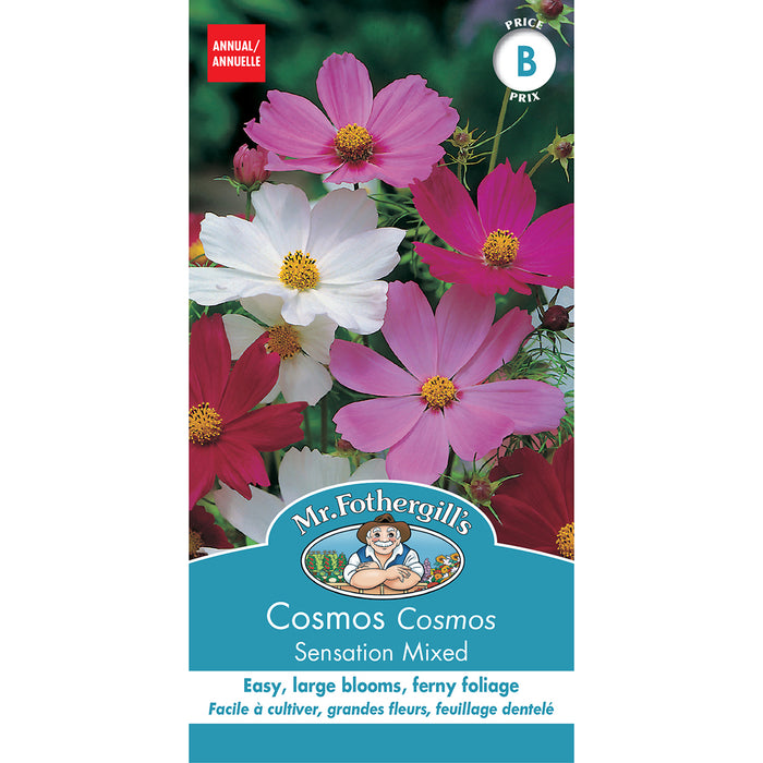 SEMENCES DE FLEURS: COSMOS - SENSATION MIXED