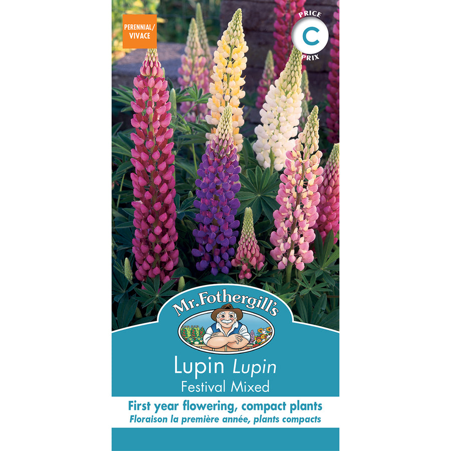 SEMENCES DE FLEURS: LUPIN - FESTIVAL MIX