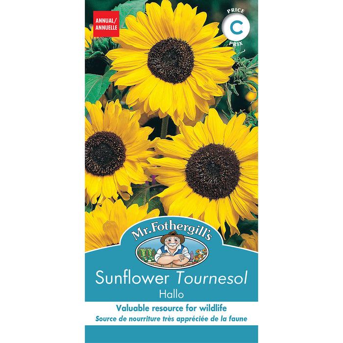 SEMENCES DE FLEURS: TOURNESOL - HALO