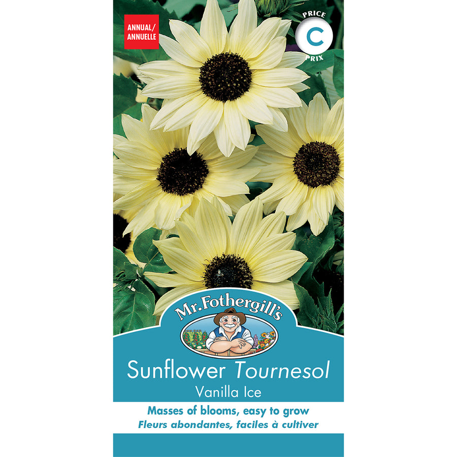 SEMENCES DE FLEURS: TOURNESOL - VANILLA ICE
