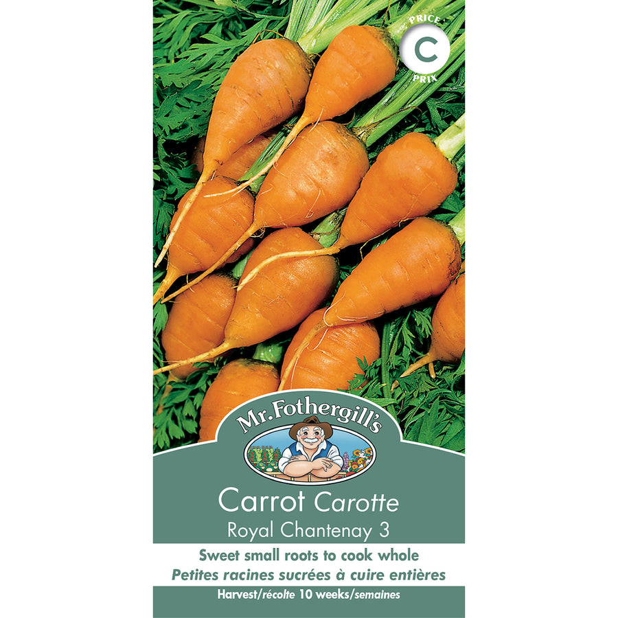 SEMENCES DE LEGUMES: CAROTTE - ROYAL CHANTENAY
