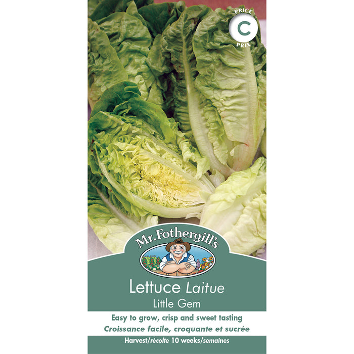 SEMENCES DE LEGUMES: LAITUE - LITTLE GEM
