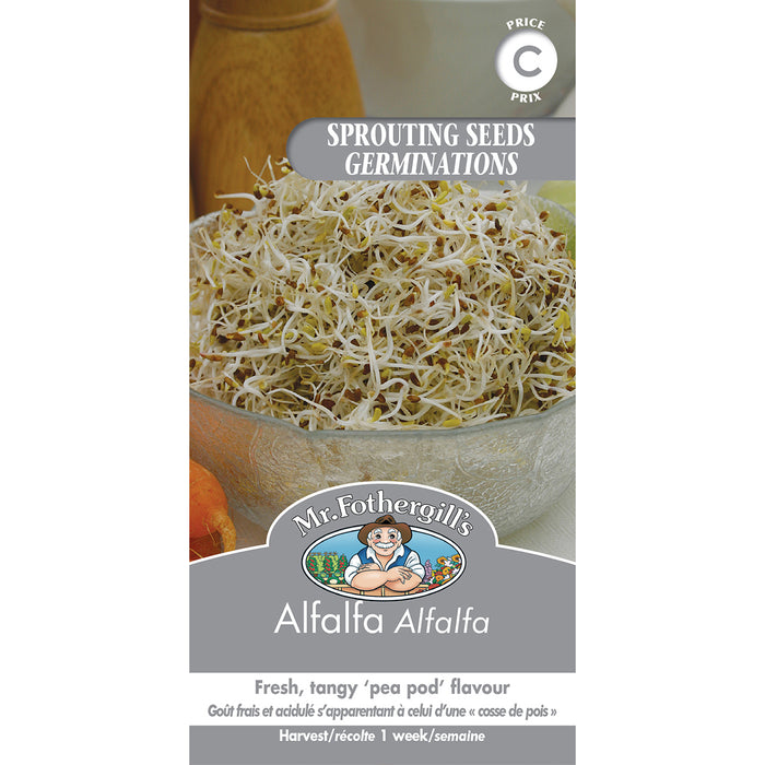 SEMENCES DE GERMES: ALFALFA