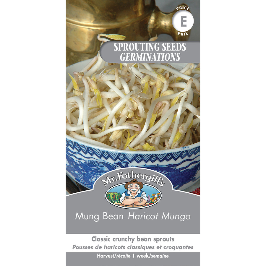 SPROUT SEEDS: MUNG BEAN