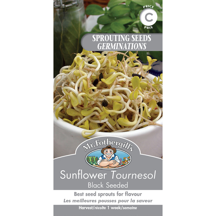 SEMENCES DE GERMES: TOURNESOL - BLACK SEEDED
