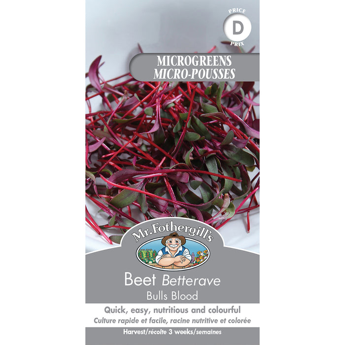 SEMENCES DE GERMES: BETTERAVE - BULLS BLOOD