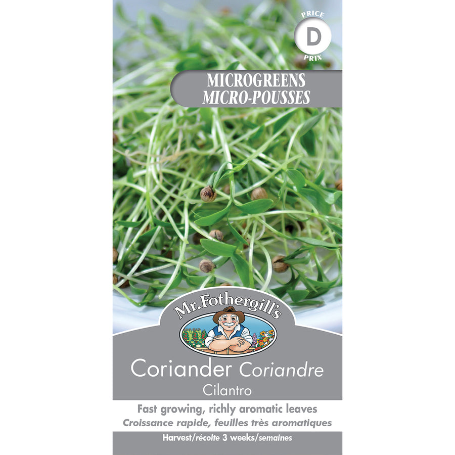 SEMENCES DE GERMES: CORIANDRE - CILANTRO