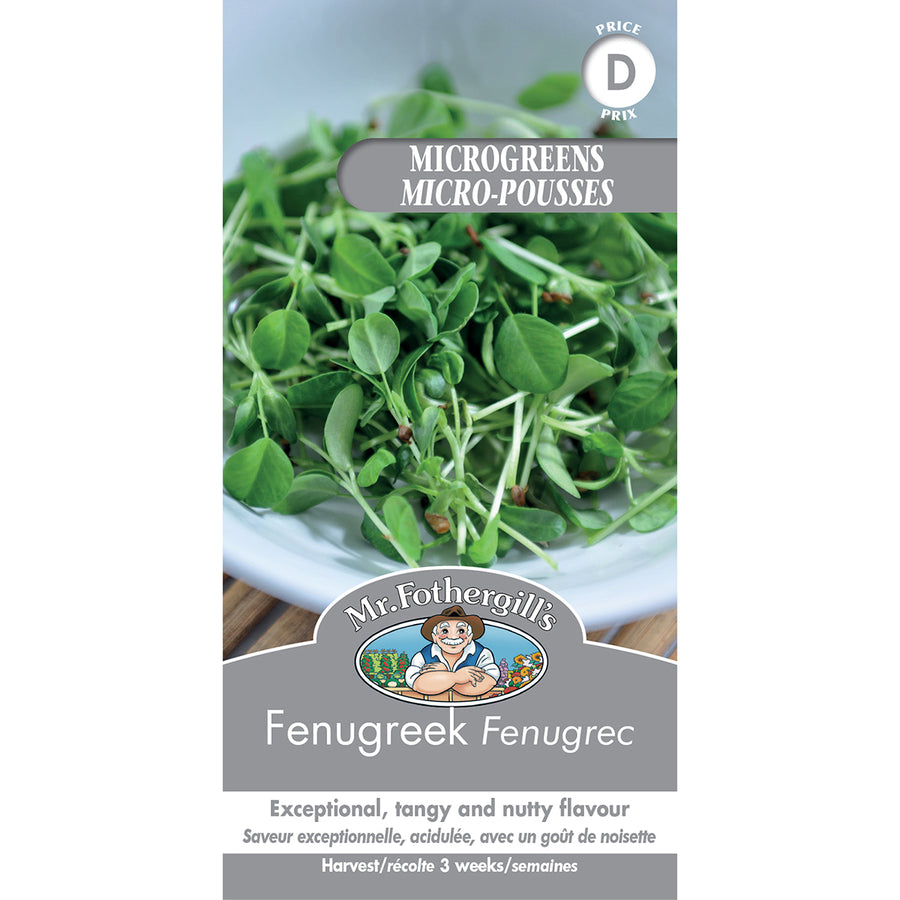 SEMENCES DE GERMES: FENUGREC