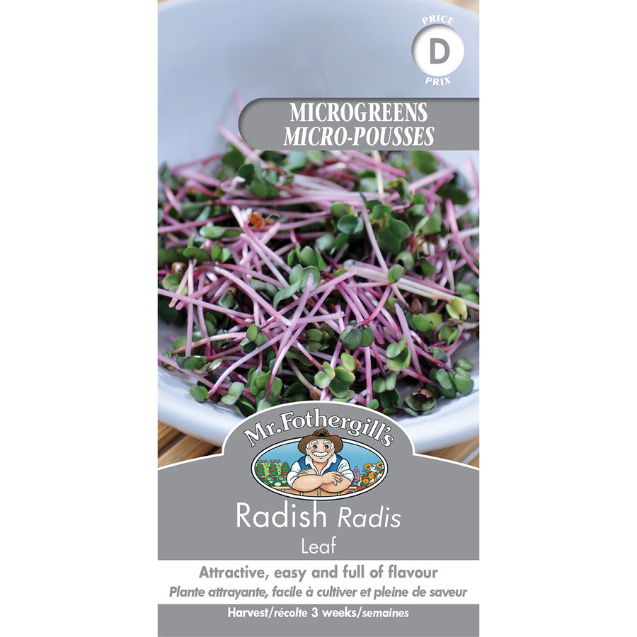 SEMENCES DE GERMES: RADIS - LEAF