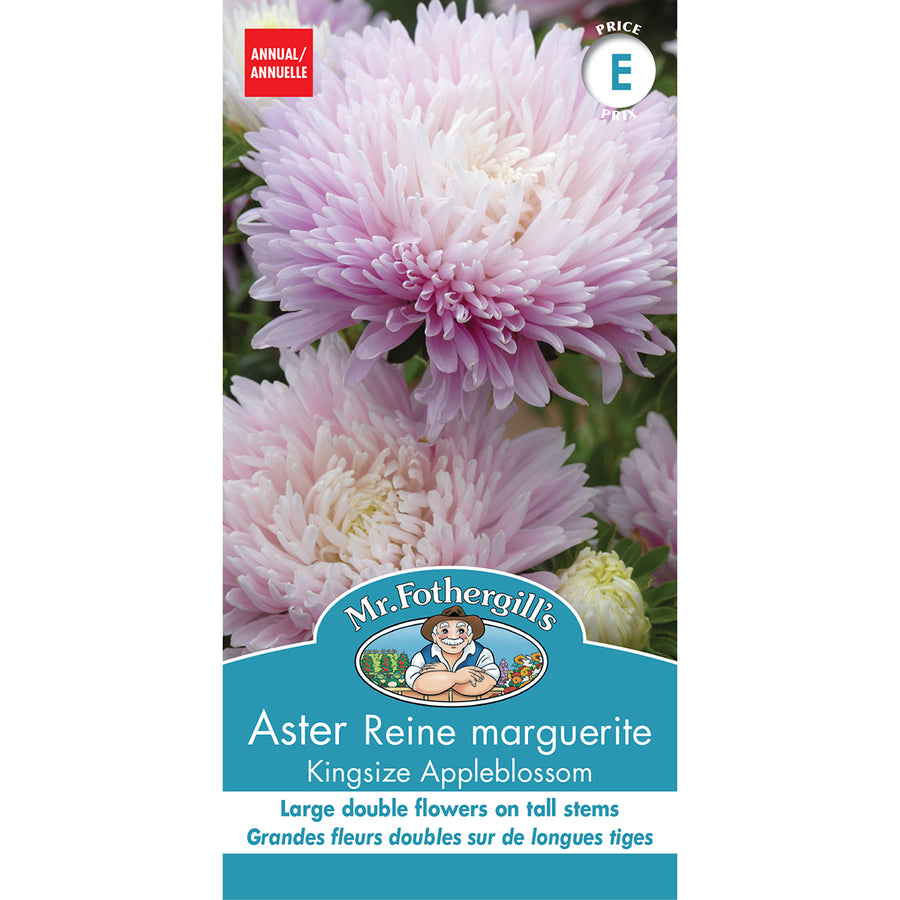 SEMENCES DE FLEURS: ASTER REINE MARGUERITE - KINGSIZE APPLEBLOSSOM