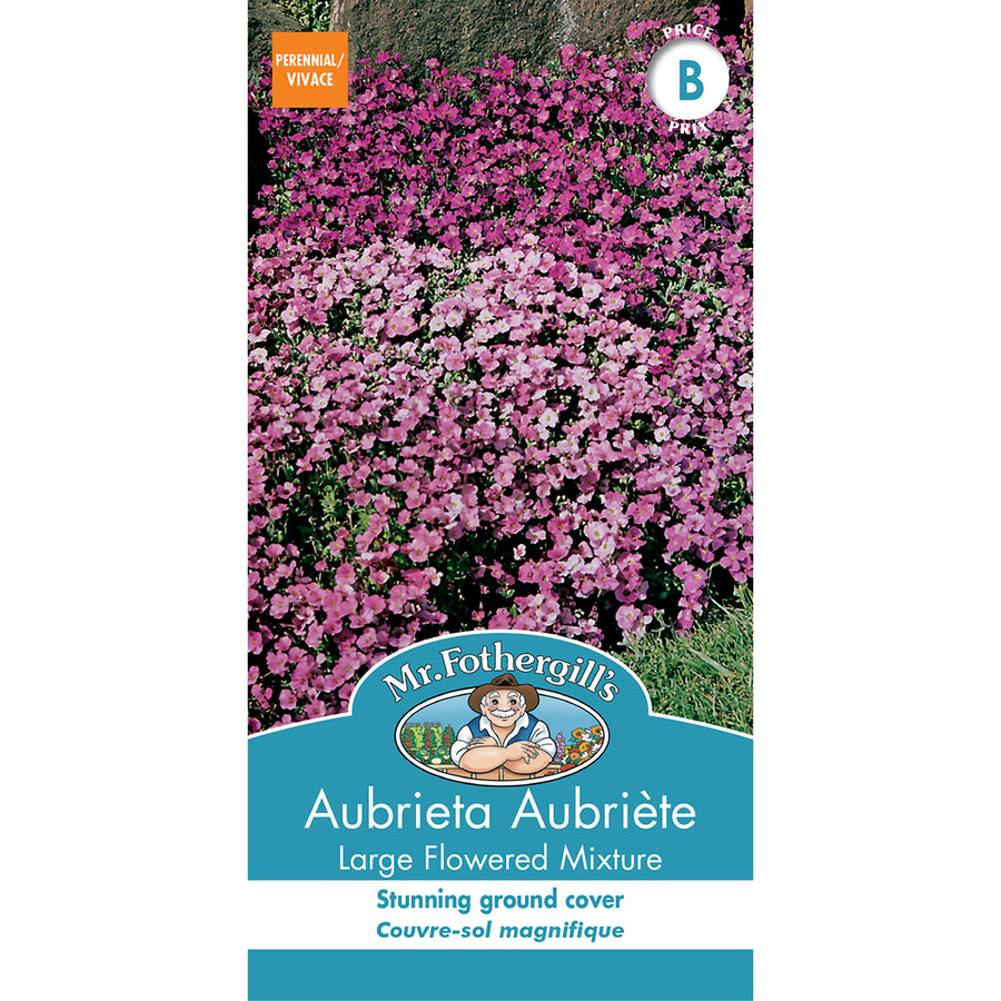SEMENCES DE FLEURS: AUBRIÈTE - MÉLANGE LARGE FLEURS