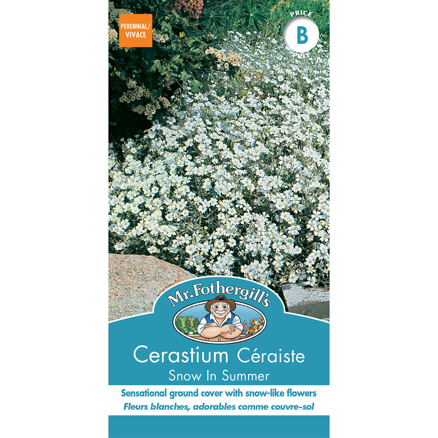SEMENCES DE FLEURS: CÉRAISTE - SNOW IN SUMMER