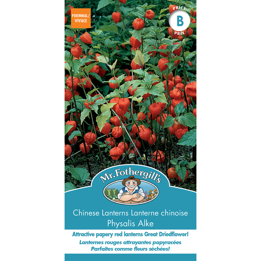SEMENCES DE FLEURS: LANTERNE CHINOISE - PHYSALIS ALKE
