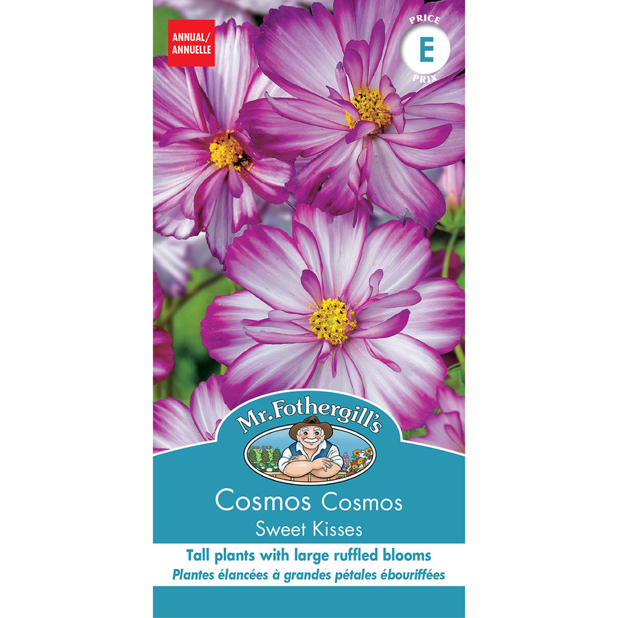 SEMENCES DE FLEURS: COSMOS - SWEET KISSES