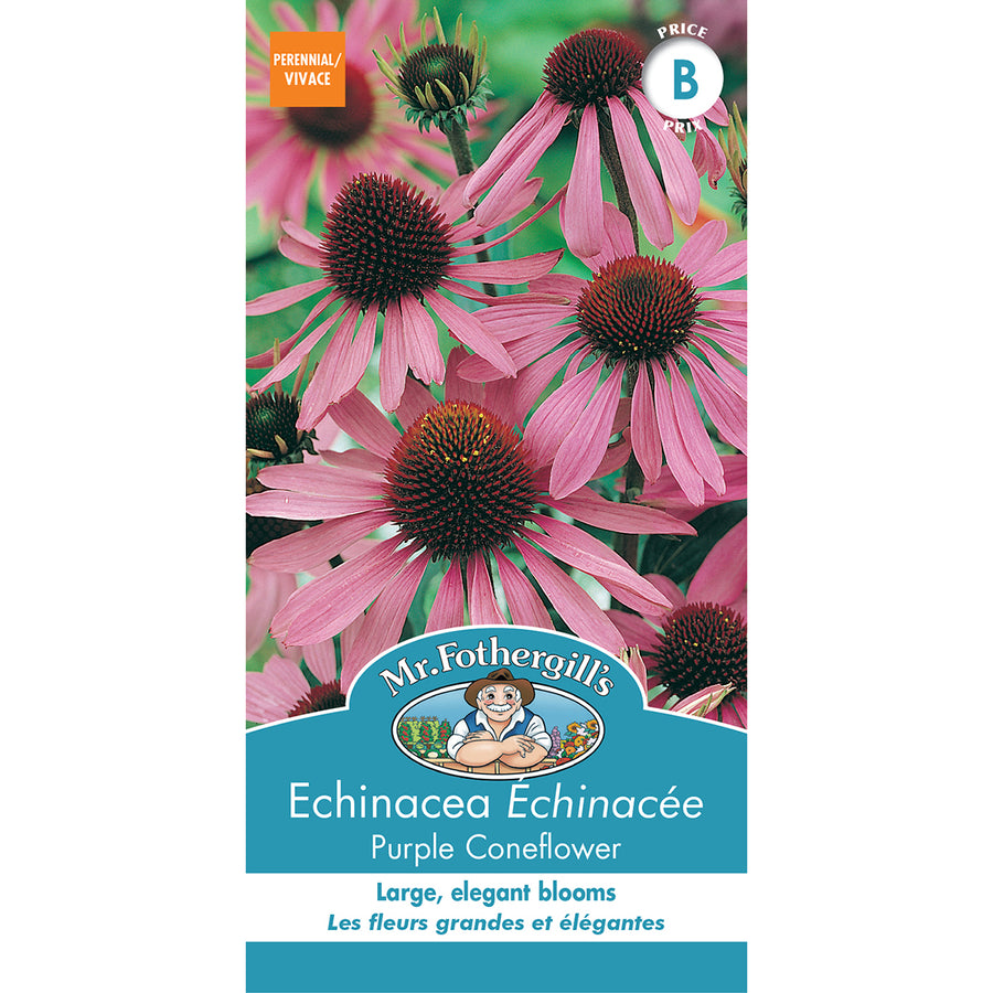 SEMENCES DE FLEURS: ECHINACEE - PURPLE CONEFLOWER