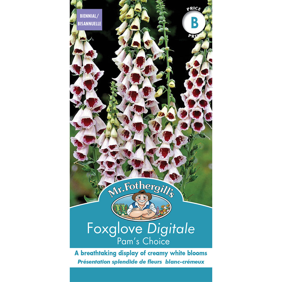 SEMENCES DE FLEURS: DIGITALE - PAM'S CHOICE